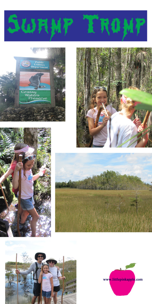 swamp tromp