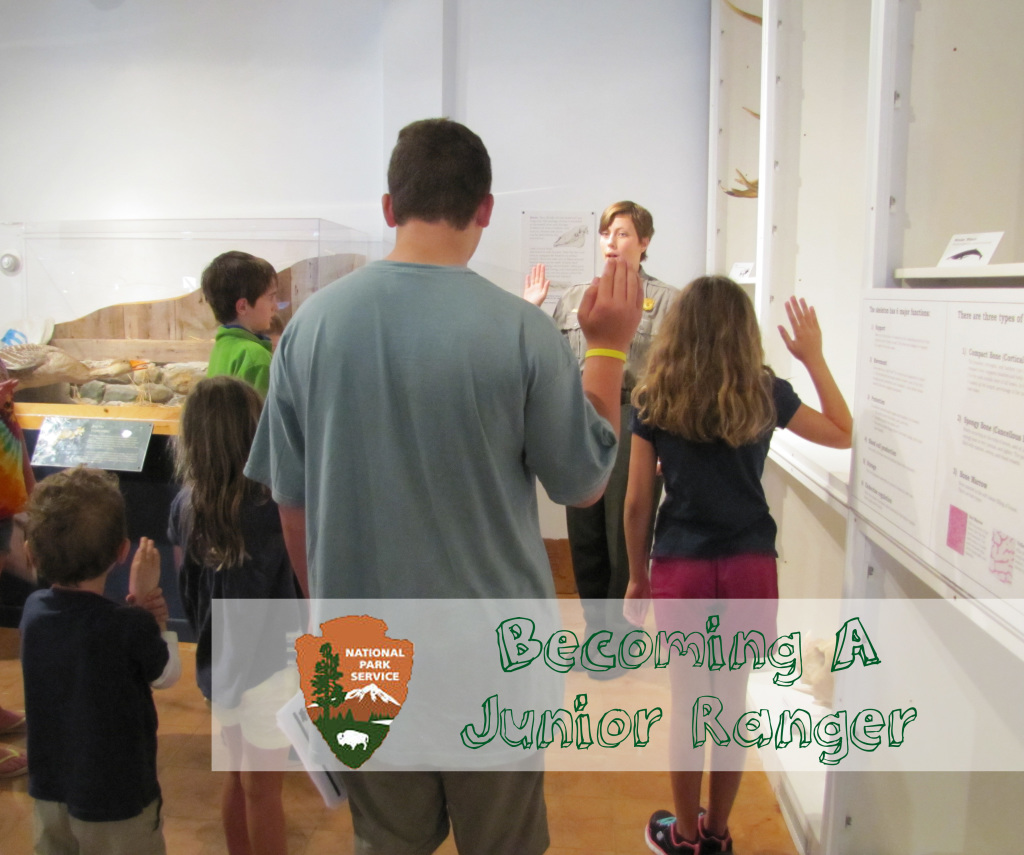 junior ranger